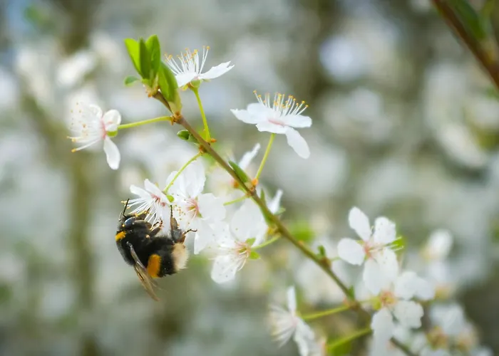 Am Kunterbunthof Babelin