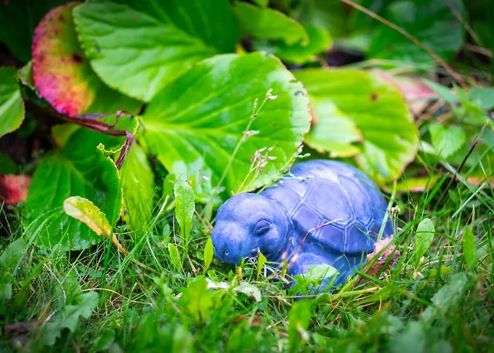 Am Kunterbunthof * Babelin