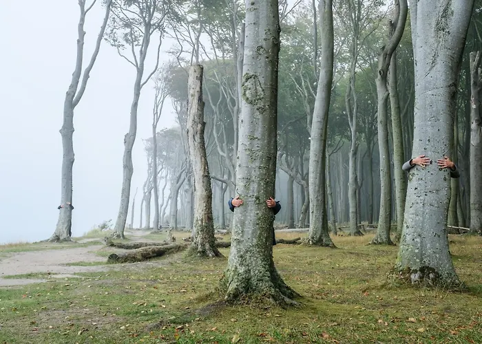 Am Kunterbunthof Apartman
